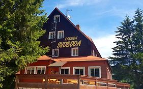 Pension Svoboda